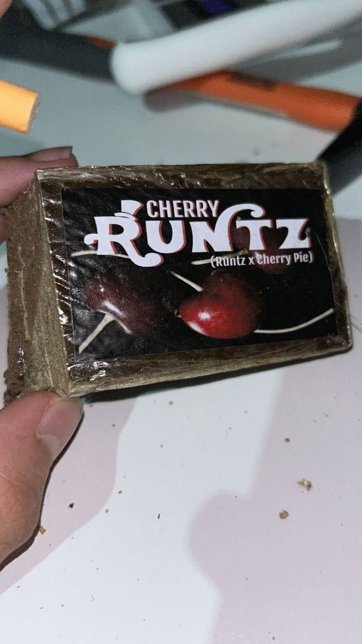 RUNTZ Semi Dry Hash RUNTZ Semi Dry Hash